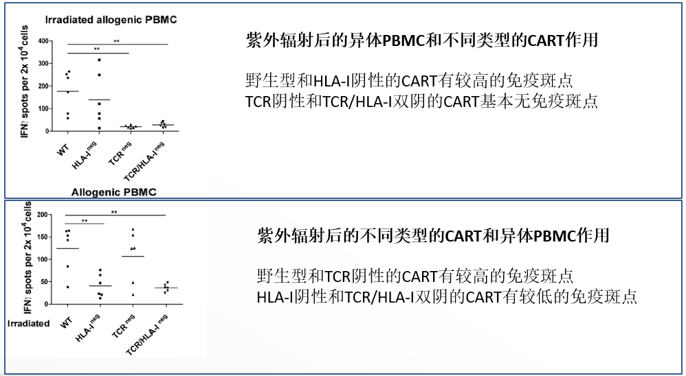 圖片46.png